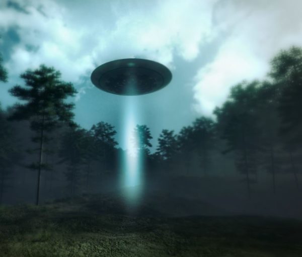 UFO in a forest